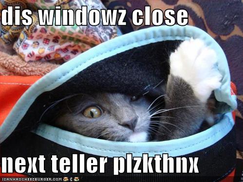 dis windowz close next teller plzkthnx